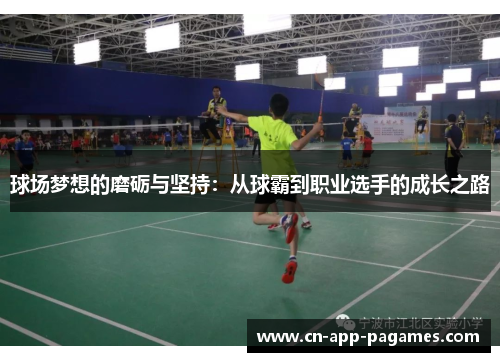 球场梦想的磨砺与坚持:从球霸到职业选手的成长之路 球场梦想的磨砺与坚持:从球霸到职业选手的成长之路
