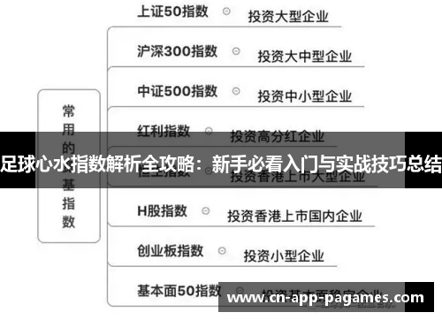 足球心水指数解析全攻略:新手必看入门与实战技巧总结 足球心水指数解析全攻略:新手必看入门与实战技巧总结